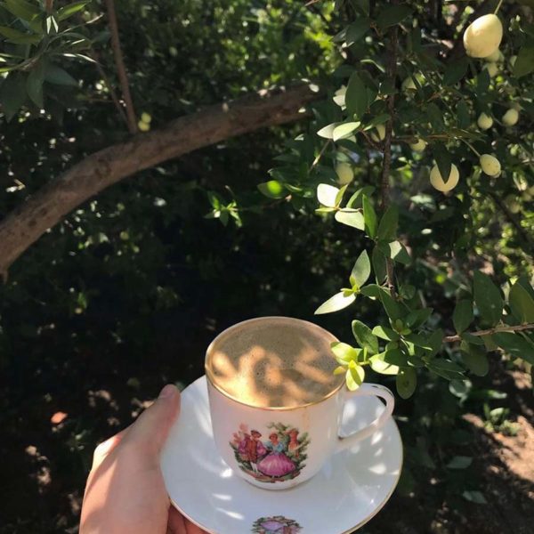 coffee with milk, sütlü kahve