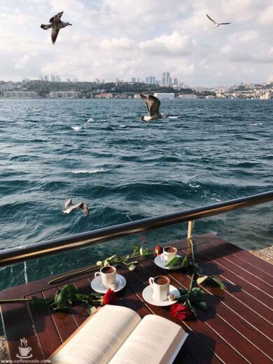 Sea, seagulls, red roses, coffee, and your much-loved book!