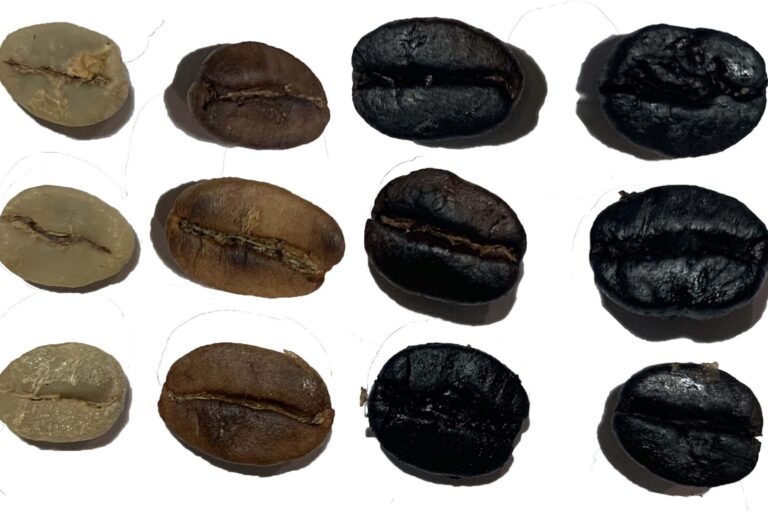 Roasted coffee types