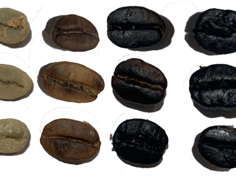 roasted coffee types Roasted coffee types