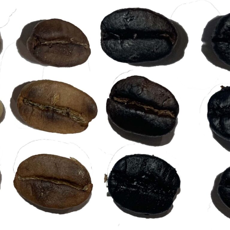 Roasted coffee types