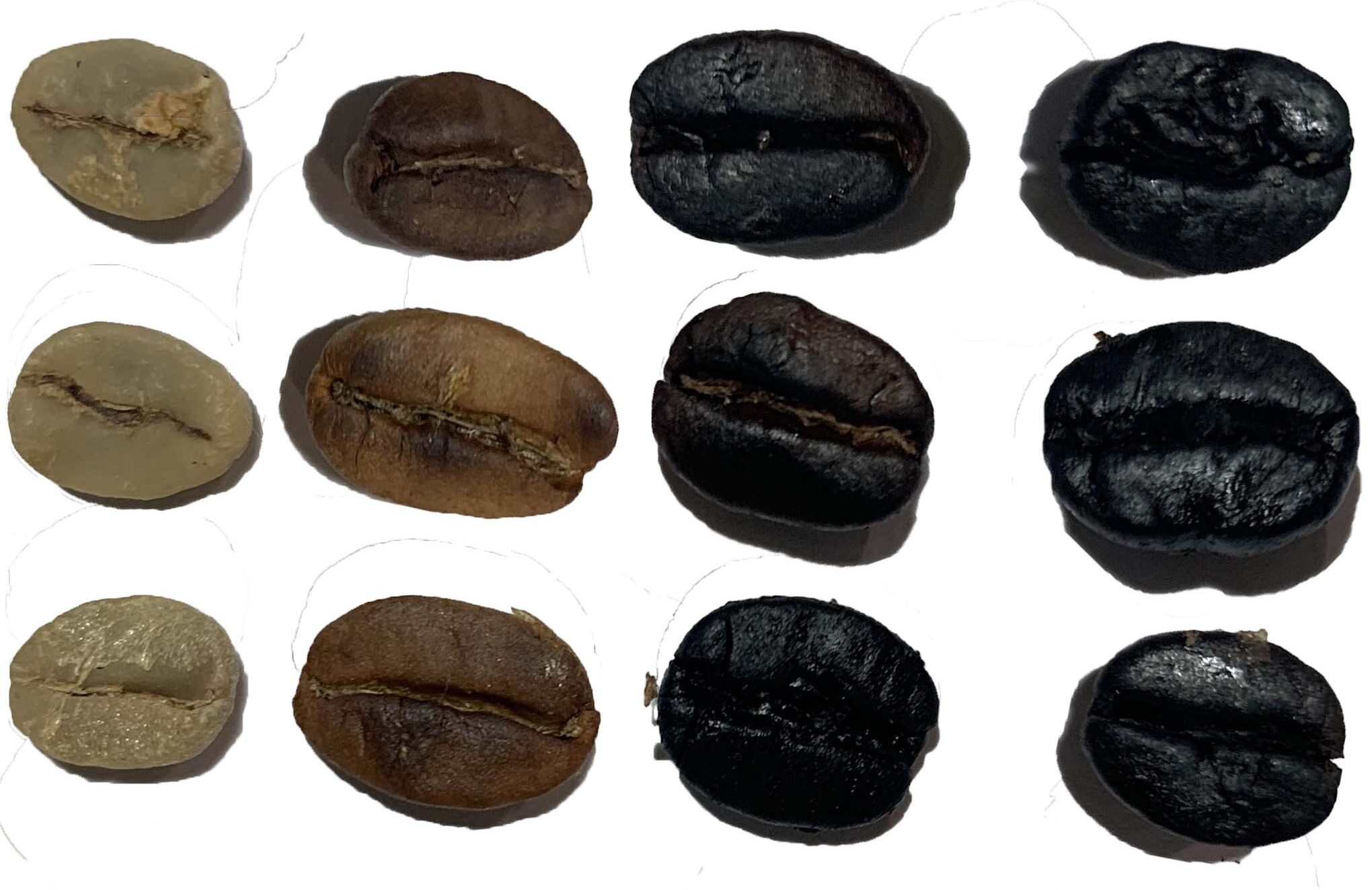Roasted coffee types