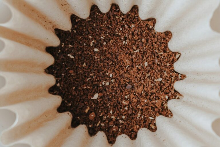 coffee grounds in filter