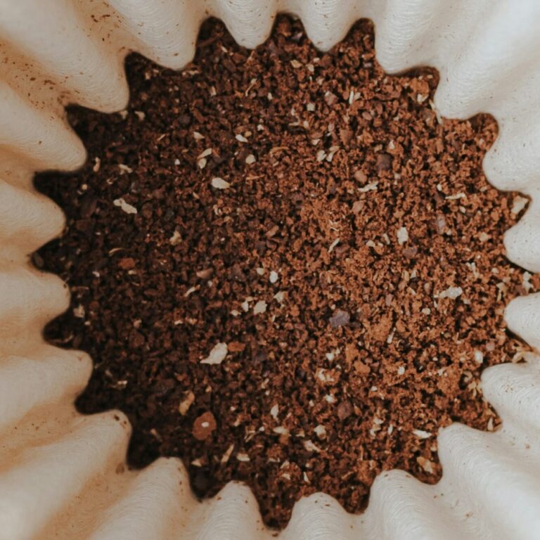 coffee grounds in filter
