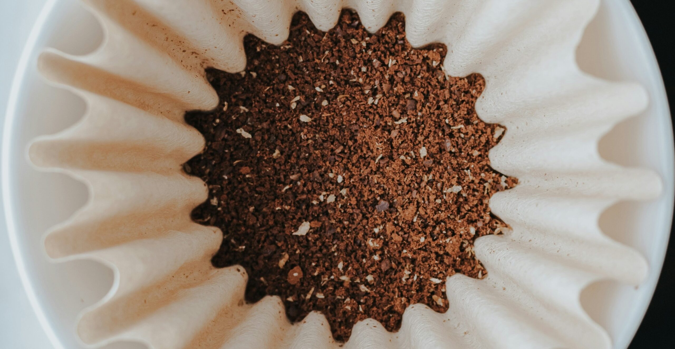 coffee grounds in filter