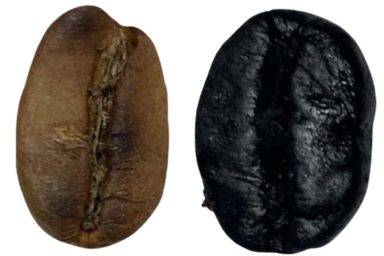 light and dark roasted coffee