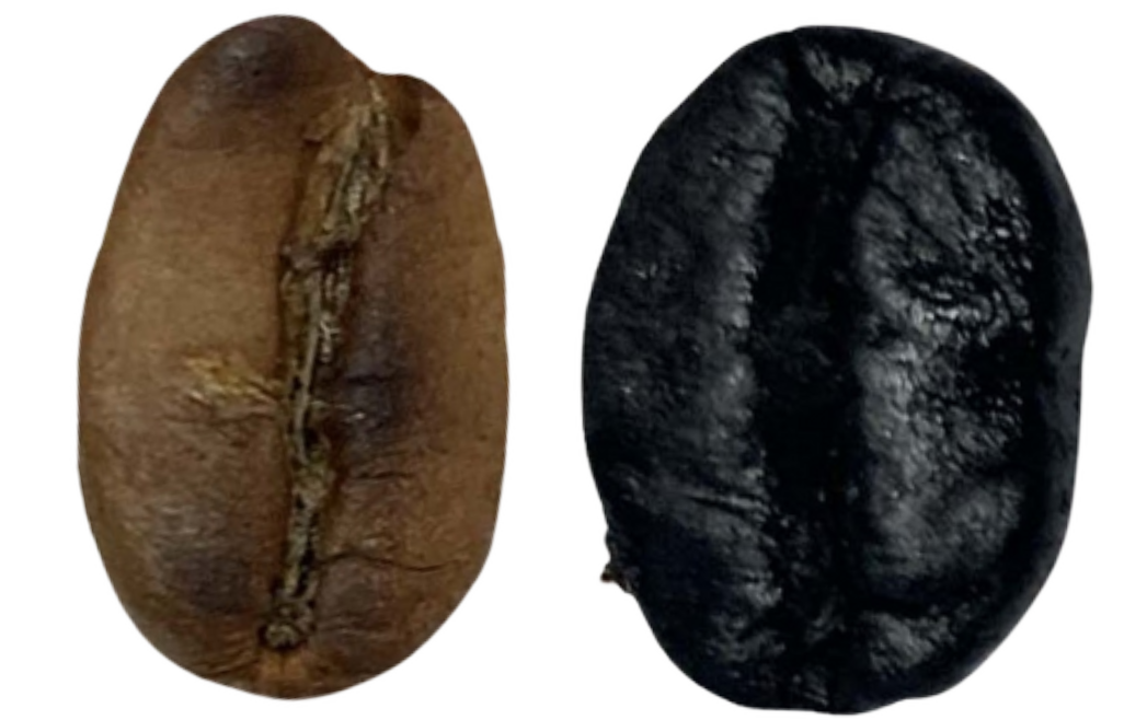 light and dark roasted coffee